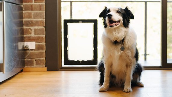 Pet Door in Glass Installations for Front Doors, Patios and Sliding Doors - Obrien Australia